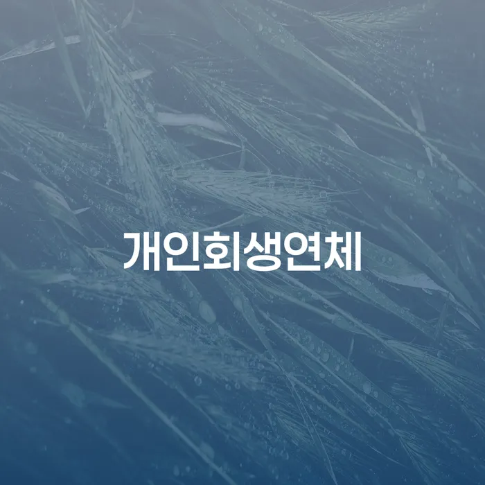 개인회생 기간 연체 채무 신속해결방법 살펴보세요