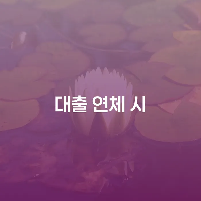 토토빚 연체 채무 신속해결방법 신청장점