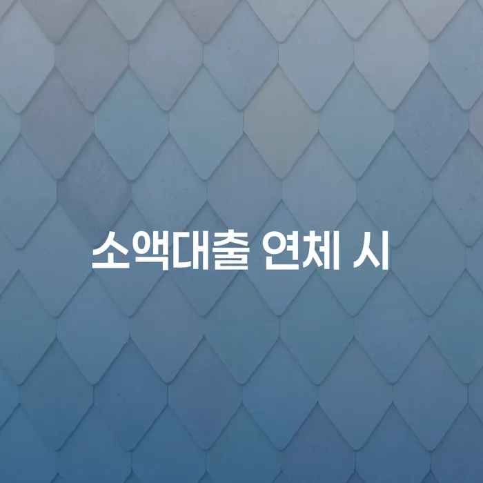 계룡시 2번째개인회생 대출 연체 개인회생 숙지하여