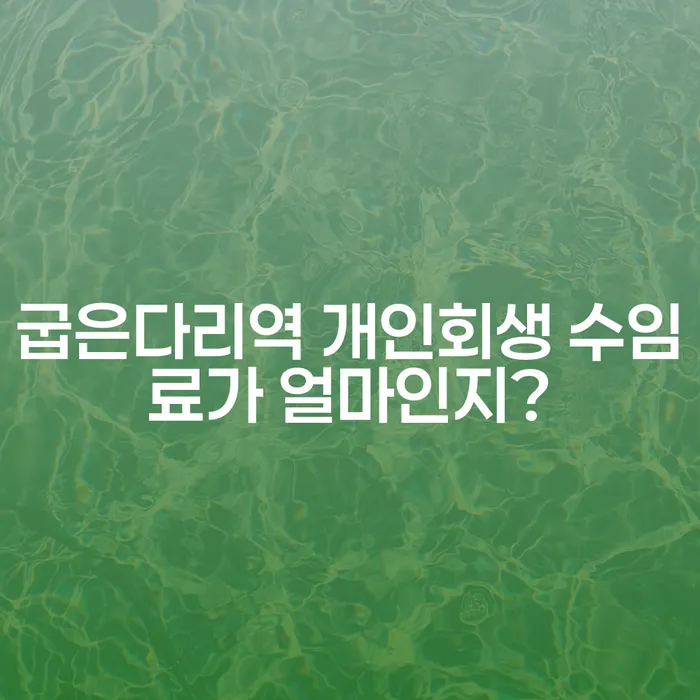 굽은다리역 개인회생 수임료가 얼마인지?