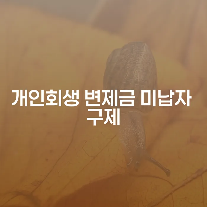개인회생 변제금 미납자 구제: 어떻게 해야 할까요?