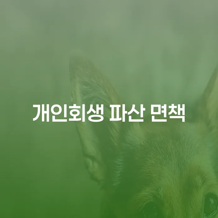 개인회생 파산 면책: 당신의 채무 문제 해결을 위한 최선의 선택은?