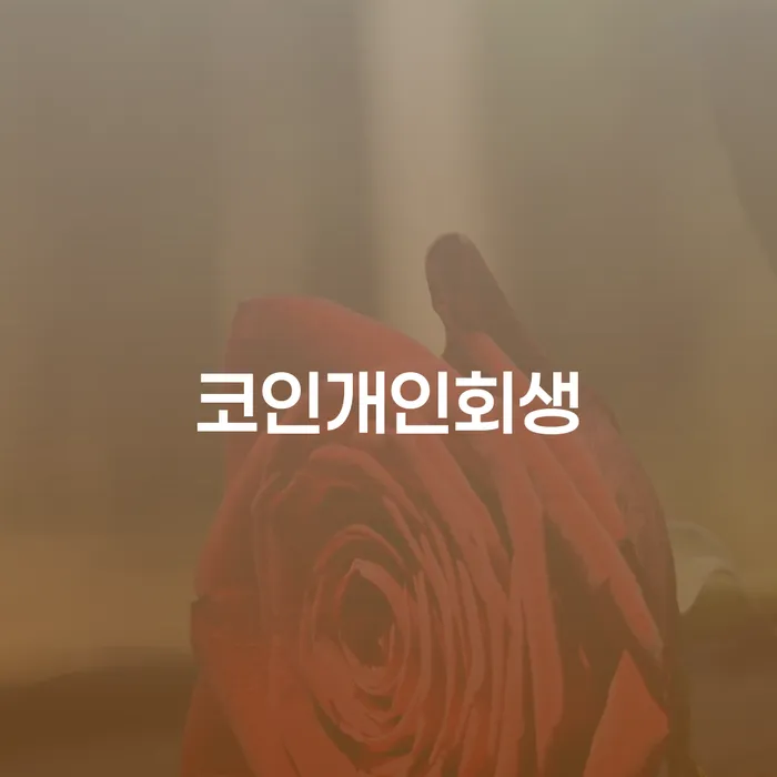 코인개인회생: 가상화폐 투자 실패, 어떻게 극복할 수 있을까요?